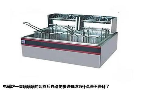 电磁炉一直嘀嘀嘀的叫然后自动关机谁知道为什么是不是坏了
