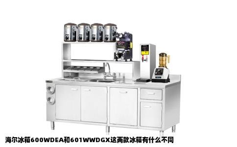 海尔冰箱600WDEA和601WWDGX这两款冰箱有什么不同