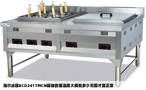 海尔冰箱BCD241TMCN箱体侧面温度大概有多少范围才算正常