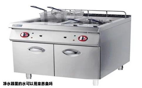 净水器里的水可以用来养鱼吗