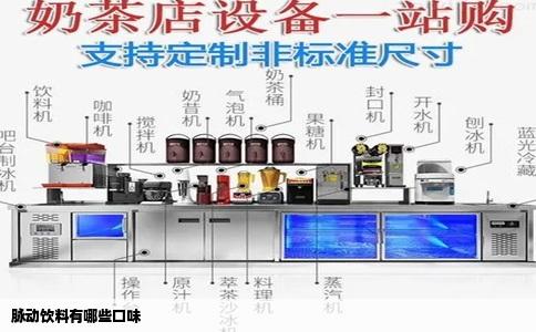 脉动饮料有哪些口味