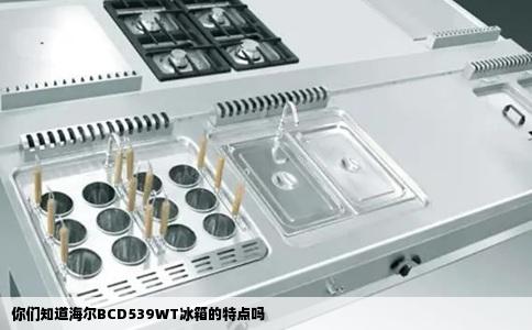 你们知道海尔BCD539WT冰箱的特点吗