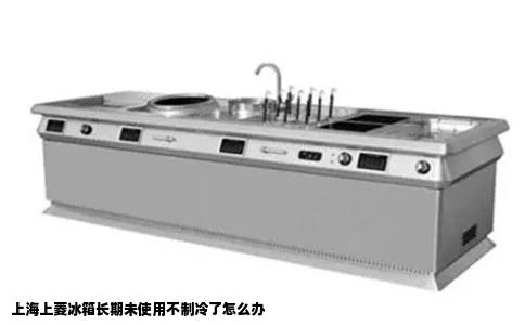 上海上菱冰箱长期未使用不制冷了怎么办