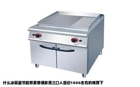 什么冰箱最节能想要普通家用三口人报价1000左右的推荐下