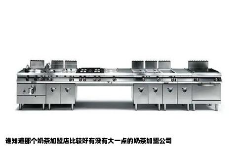 谁知道那个奶茶加盟店比较好有没有大一点的奶茶加盟公司