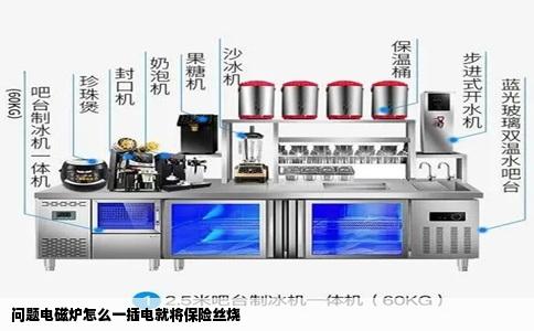 问题电磁炉怎么一插电就将保险丝烧