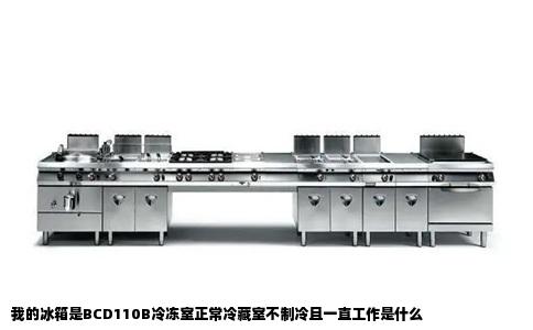 我的冰箱是BCD110B冷冻室正常冷藏室不制冷且一直工作是什么