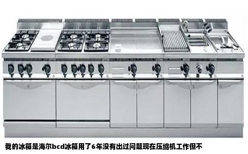 我的冰箱是海尔bcd冰箱用了6年没有出过问题现在压缩机工作但不