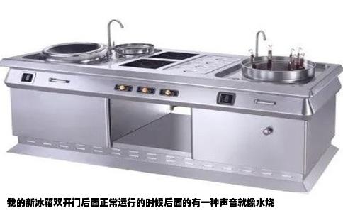我的新冰箱双开门后面正常运行的时候后面的有一种声音就像水烧