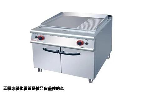 无霜冰箱化霜管是被吕皮盖住的么