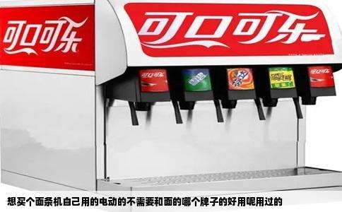 想买个面条机自己用的电动的不需要和面的哪个牌子的好用呢用过的