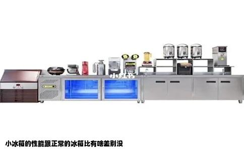 小冰箱的性能跟正常的冰箱比有啥差别没
