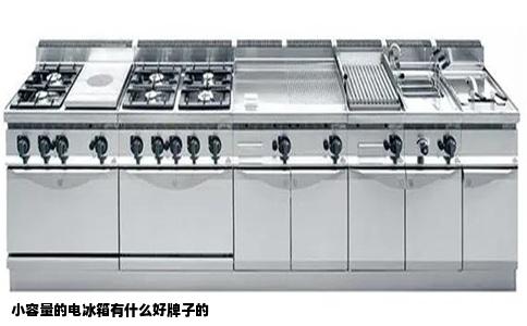 小容量的电冰箱有什么好牌子的