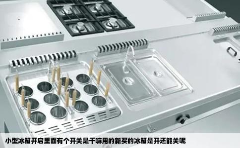 小型冰箱开启里面有个开关是干嘛用的新买的冰箱是开还能关呢