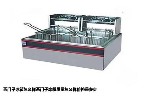 西门子冰箱怎么样西门子冰箱质量怎么样价格是多少