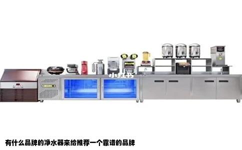 有什么品牌的净水器来给推荐一个靠谱的品牌