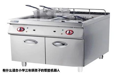 有什么适合小学三年级孩子的智能机器人