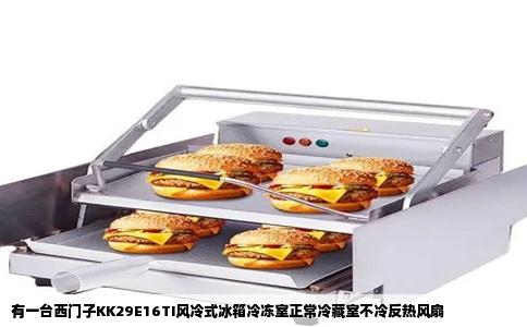 有一台西门子KK29E16TI风冷式冰箱冷冻室正常冷藏室不冷反热风扇